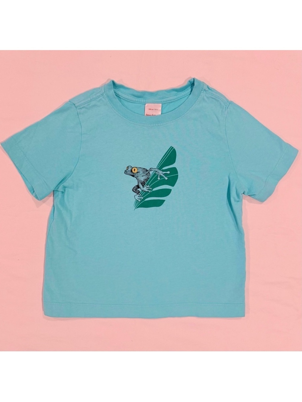 Hanna Andersson Tree Frog Tee Boys 4 100 cm Awesome Art T-Shirt Tidepool Spring